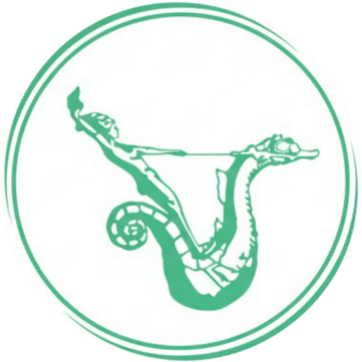 Estetica Galatea